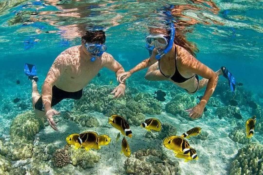 Hotel Dolphin Hikkaduwa Eksteriør bilde