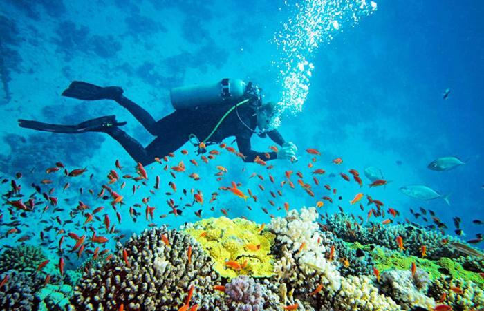 Hotel Dolphin Hikkaduwa Eksteriør bilde